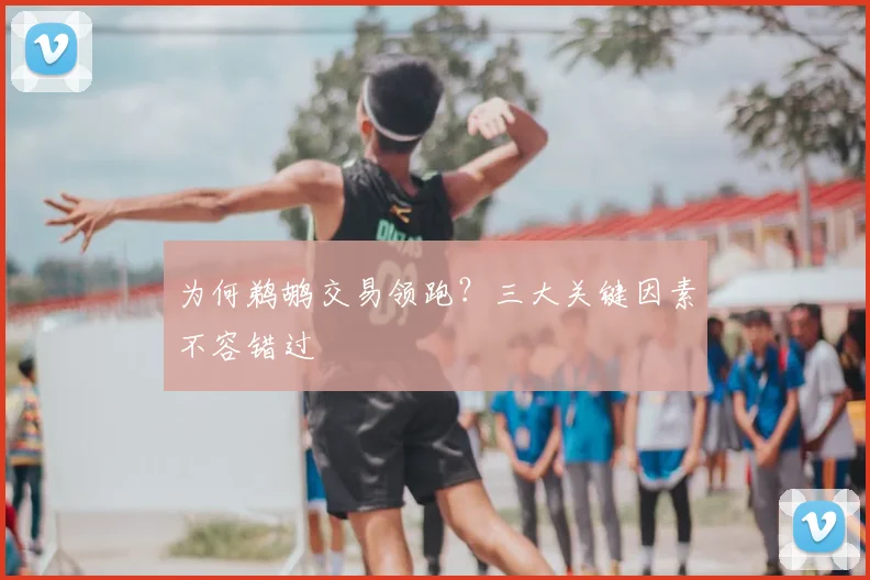 为何鹈鹕交易领跑？三大关键因素不容错过